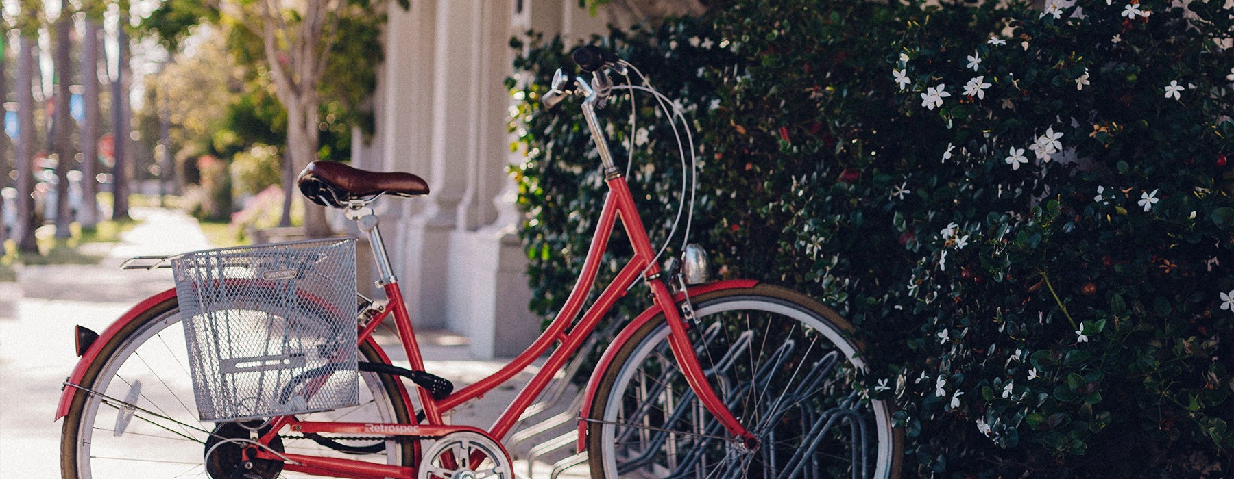 bike locked up in front of bushes